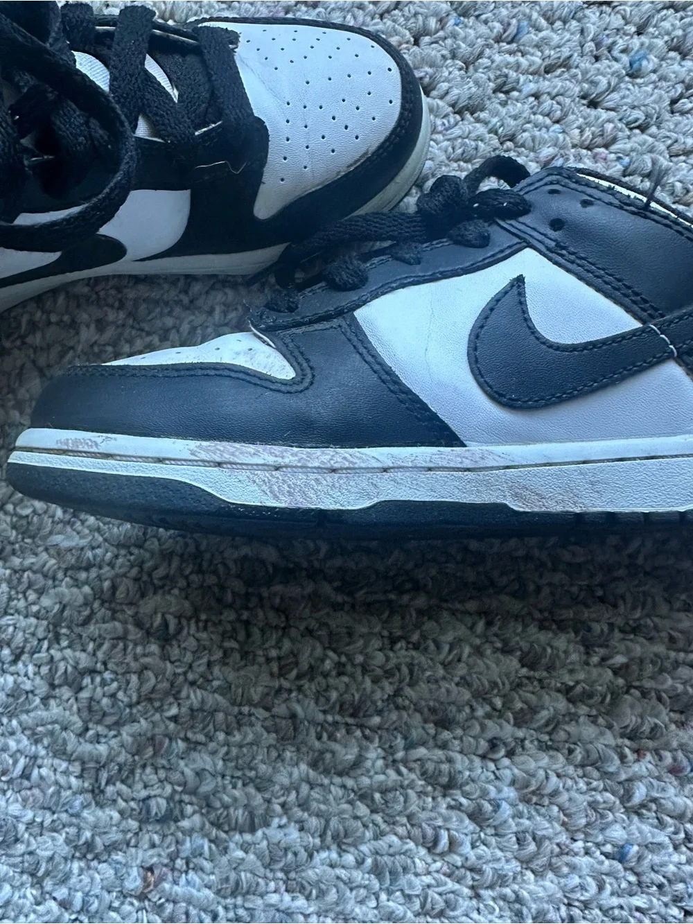 Kids Low Top Nike Dunks